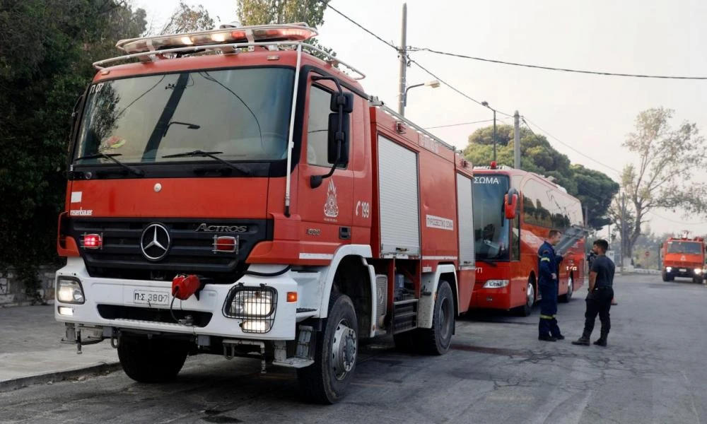 Πυρκαγιά σε αναγεννημένο δάσος στον Πύργο - Μεγάλη κινητοποίηση της Πυροσβεστικής